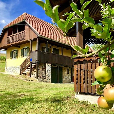 Country House Novosel Duga Resa Exterior photo