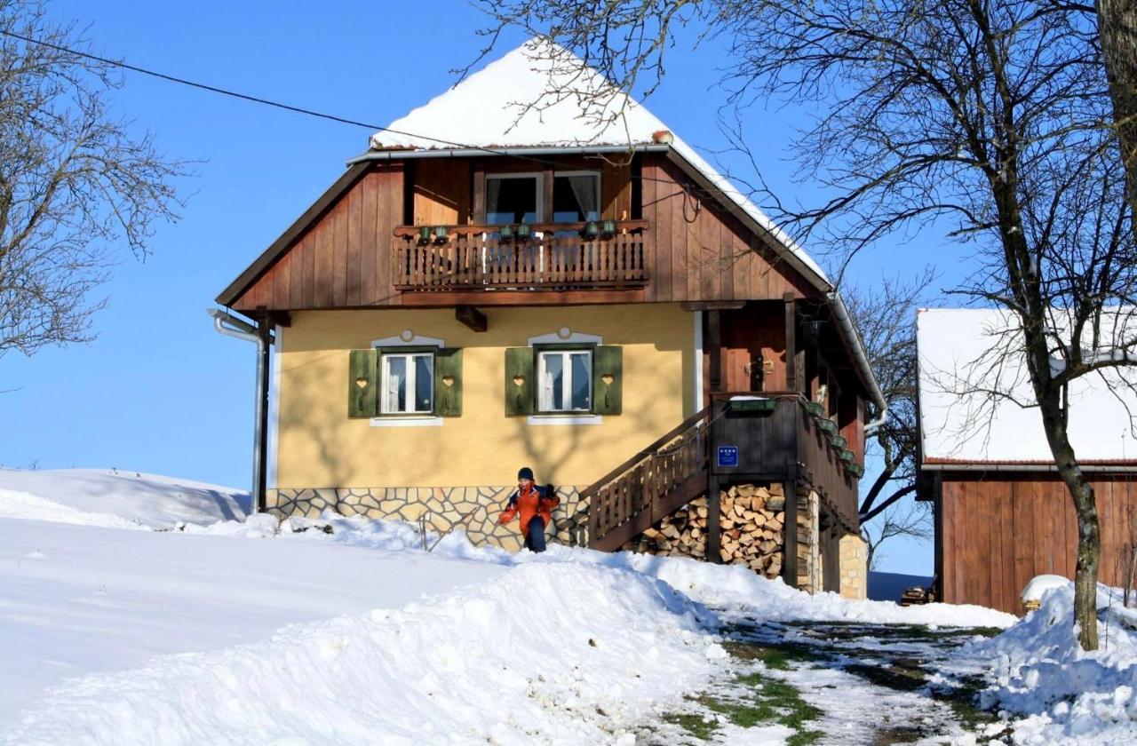 Country House Novosel Duga Resa Exterior photo