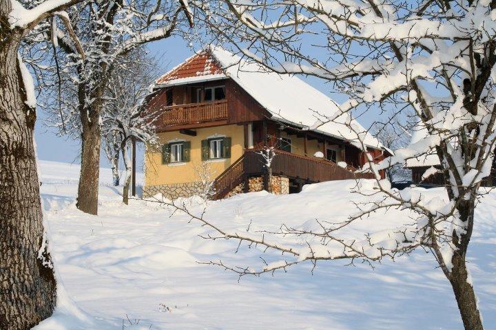 Country House Novosel Duga Resa Exterior photo